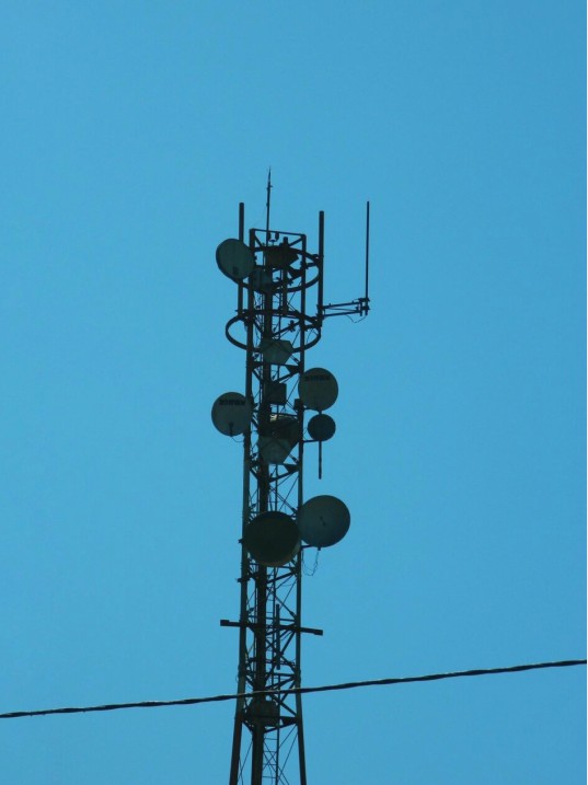 Privacidad en línea